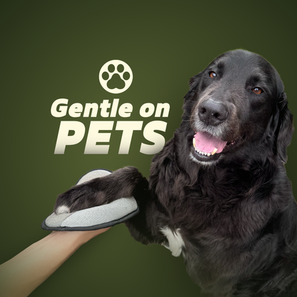 PawSweep